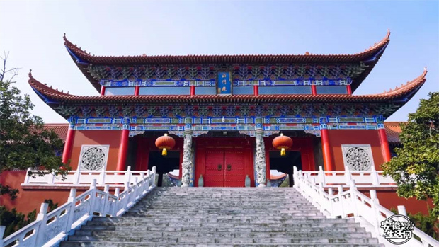 摇钱树娱乐(中国区)有限公司官网