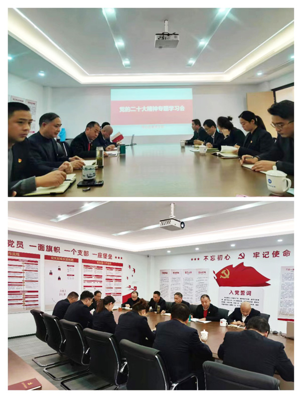 摇钱树娱乐(中国区)有限公司官网