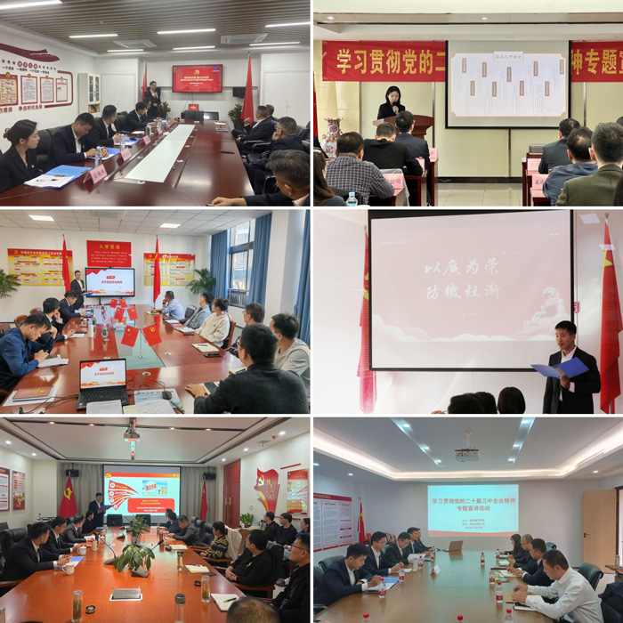 摇钱树娱乐(中国区)有限公司官网